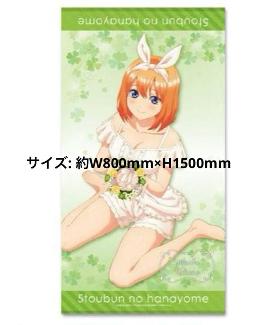 五等分の花嫁 ビッグパスタオル& 青春ブタ野郎はバニーガール先輩の夢フェイス‥