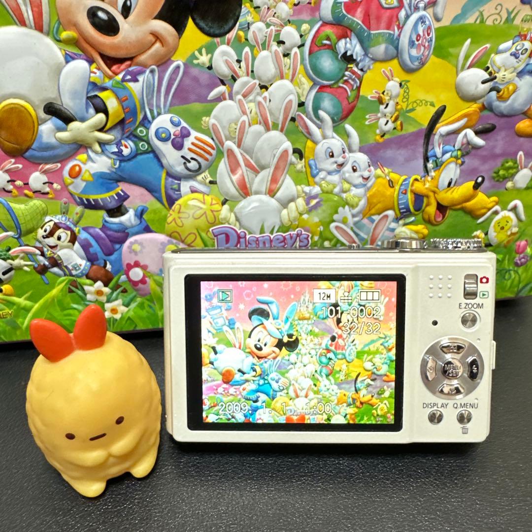 美品　Panasonic LUMIX DMC-ZX1 動作確認済　SDカード付き