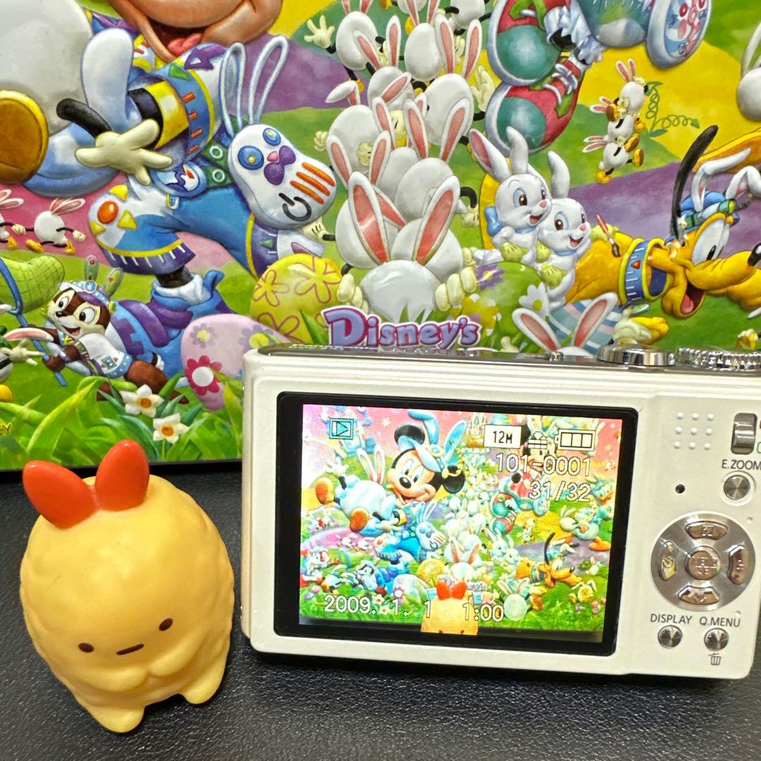 美品　Panasonic LUMIX DMC-ZX1 動作確認済　SDカード付き