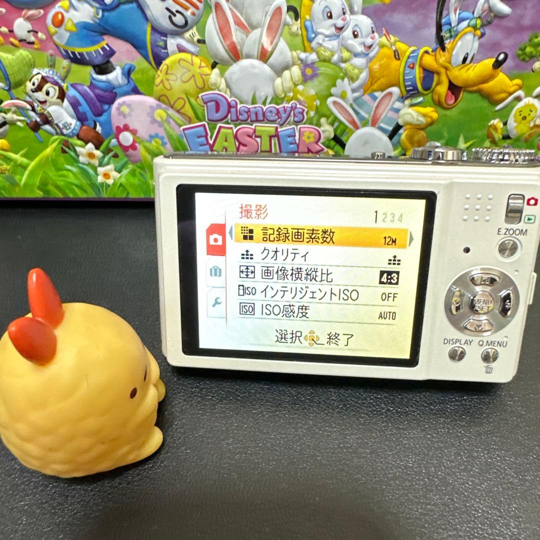 美品　Panasonic LUMIX DMC-ZX1 動作確認済　SDカード付き