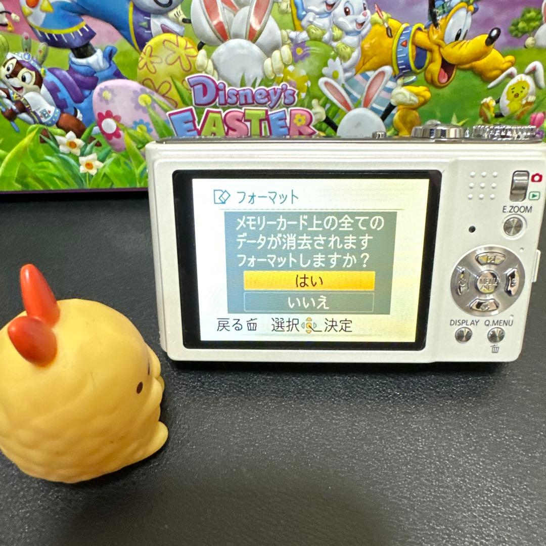 美品　Panasonic LUMIX DMC-ZX1 動作確認済　SDカード付き