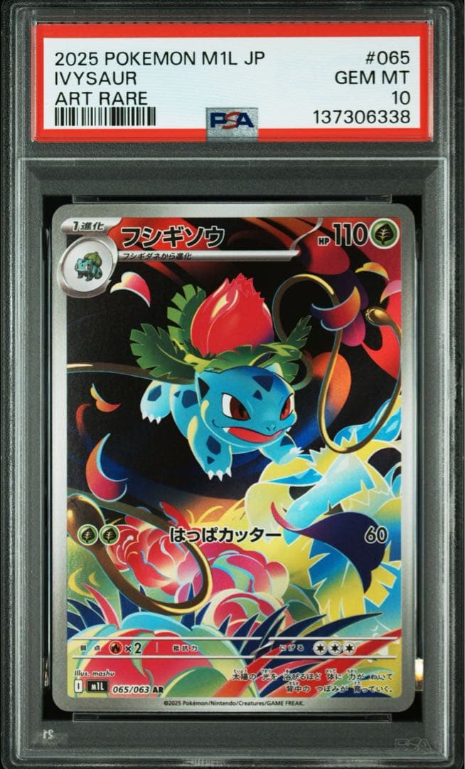 マ*ん様 psa10 連番　フシギダネarフシギソウar