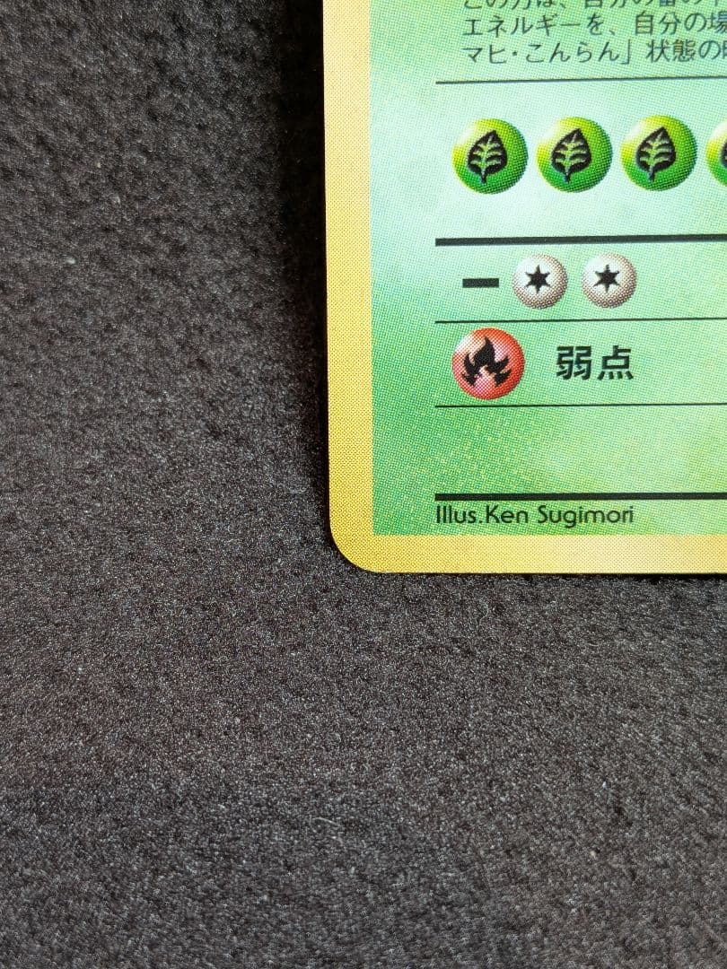 旧裏　フシギバナ　プロモ　ポケモンカード