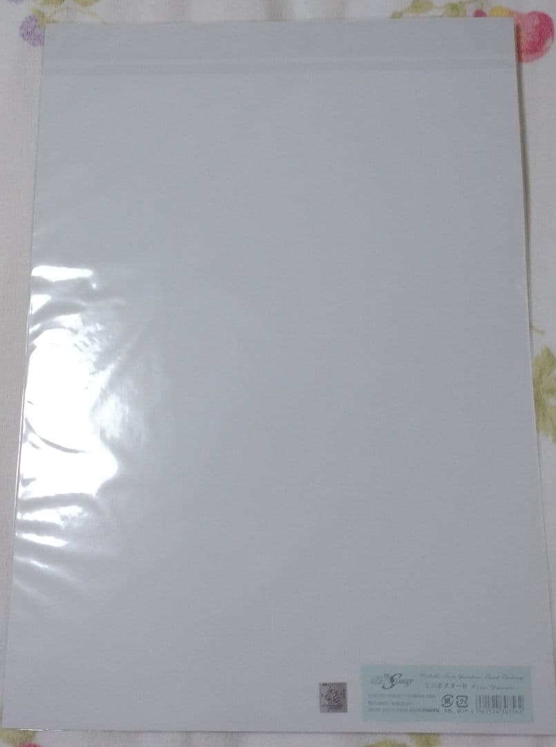 ガンダムSEED DESTINY キラ ポートレート ポートレイト ポスター