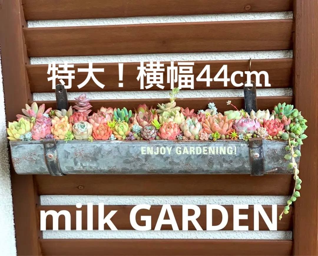 豪華❣️そのまま飾れる寄せ植え❣️オーダー品＊