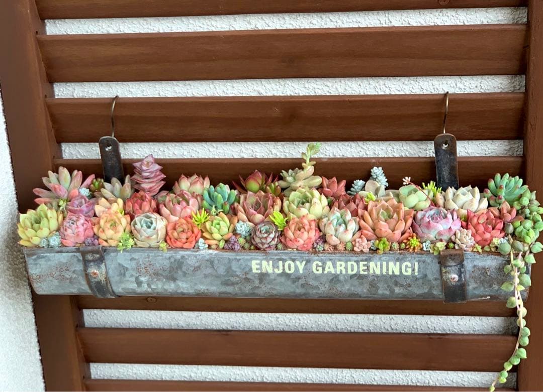 豪華❣️そのまま飾れる寄せ植え❣️オーダー品＊