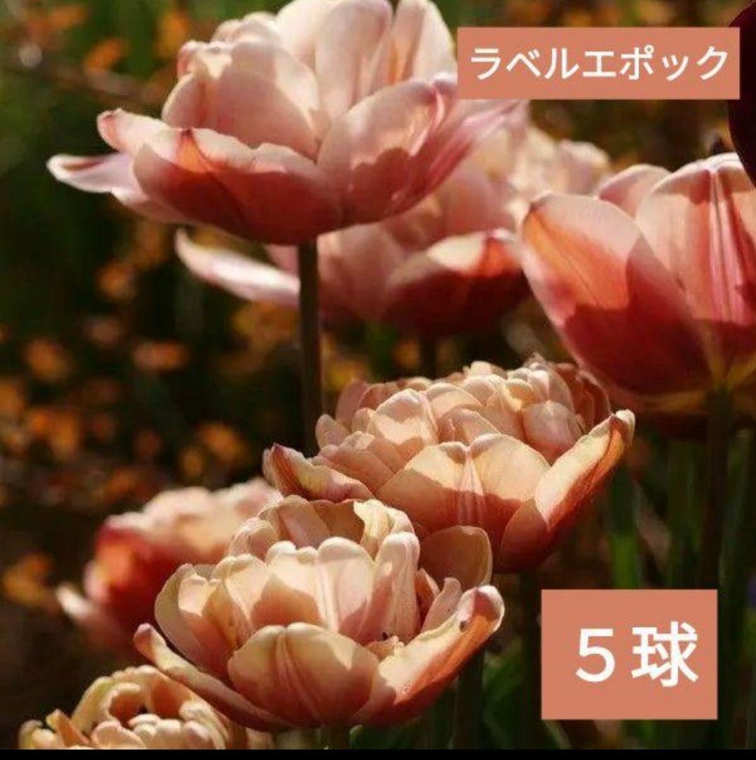 Ando様 リクエスト 6点 まとめ商品