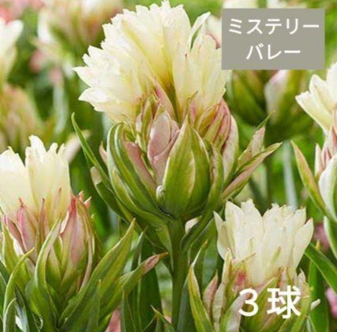 Ando様 リクエスト 6点 まとめ商品