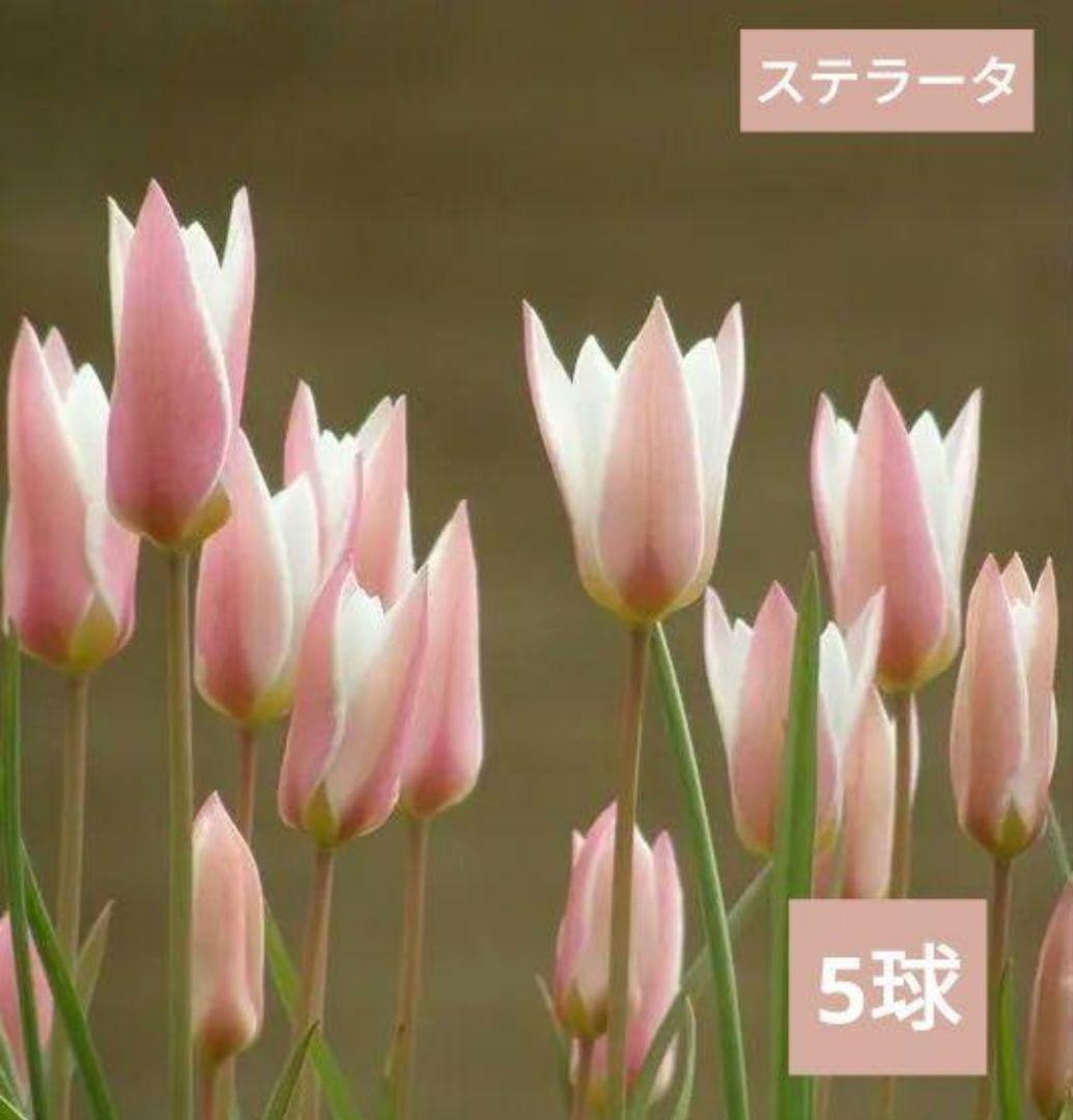 Ando様 リクエスト 6点 まとめ商品