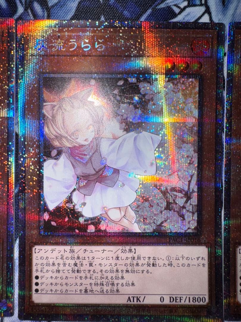 遊戯王　3枚セット　灰流うらら　プリズマ　プリズマティック