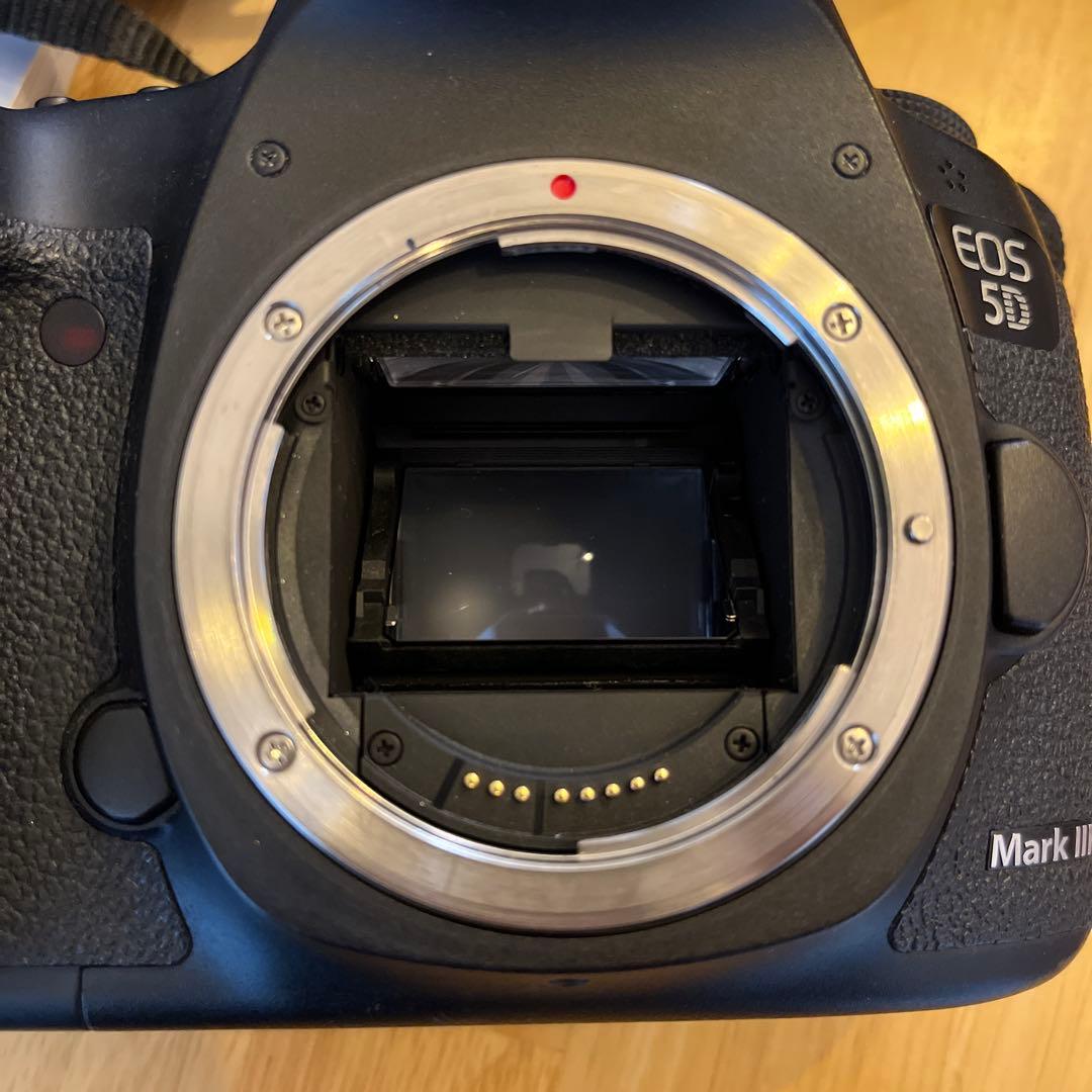 【超お得】Canon 5D MARKⅢ 中古セット　※値下げ中