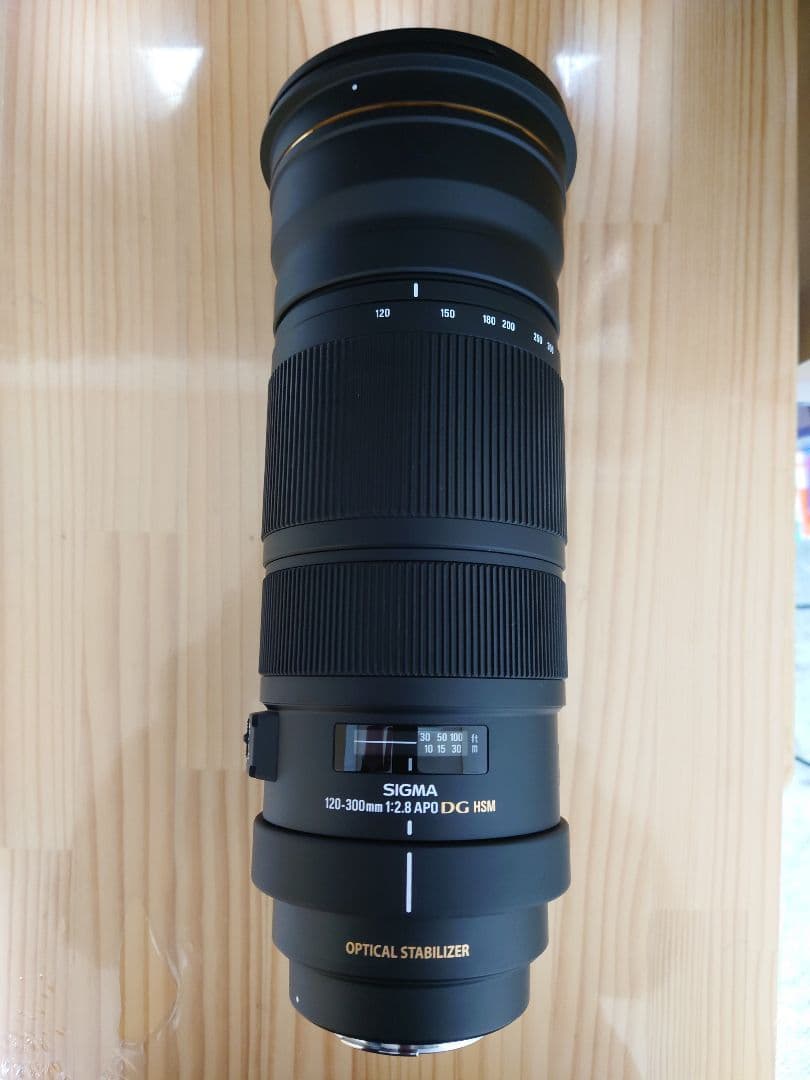 SIGMA シグマ APO 120-300mm F2.8 EX DG HSM