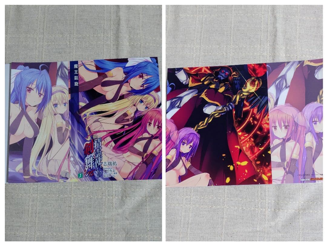 【バラ売り可】精霊使いの剣舞 特典ブックカバー　13枚セット