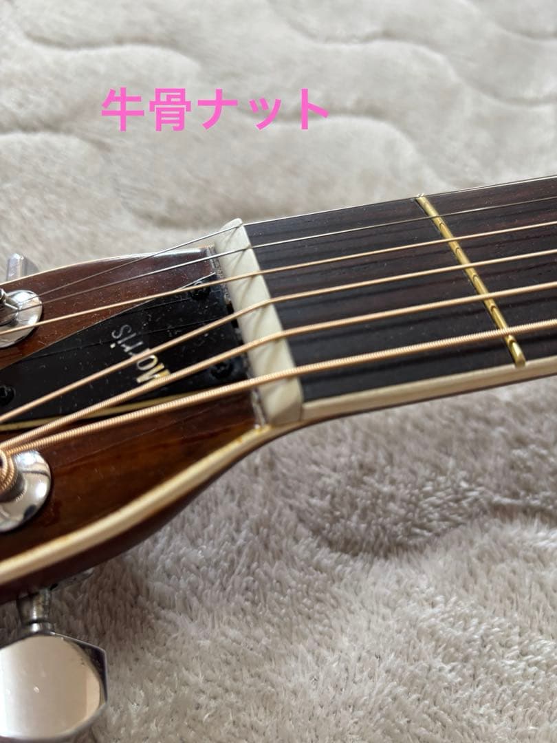 Morris w25 ネックストレート出し　リフレット 　調整済み