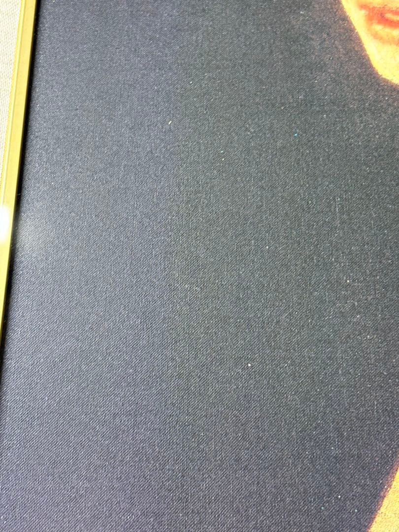 フェルメール　真珠の耳飾りの少女　青いターバンの少女　絵画　西洋絵画