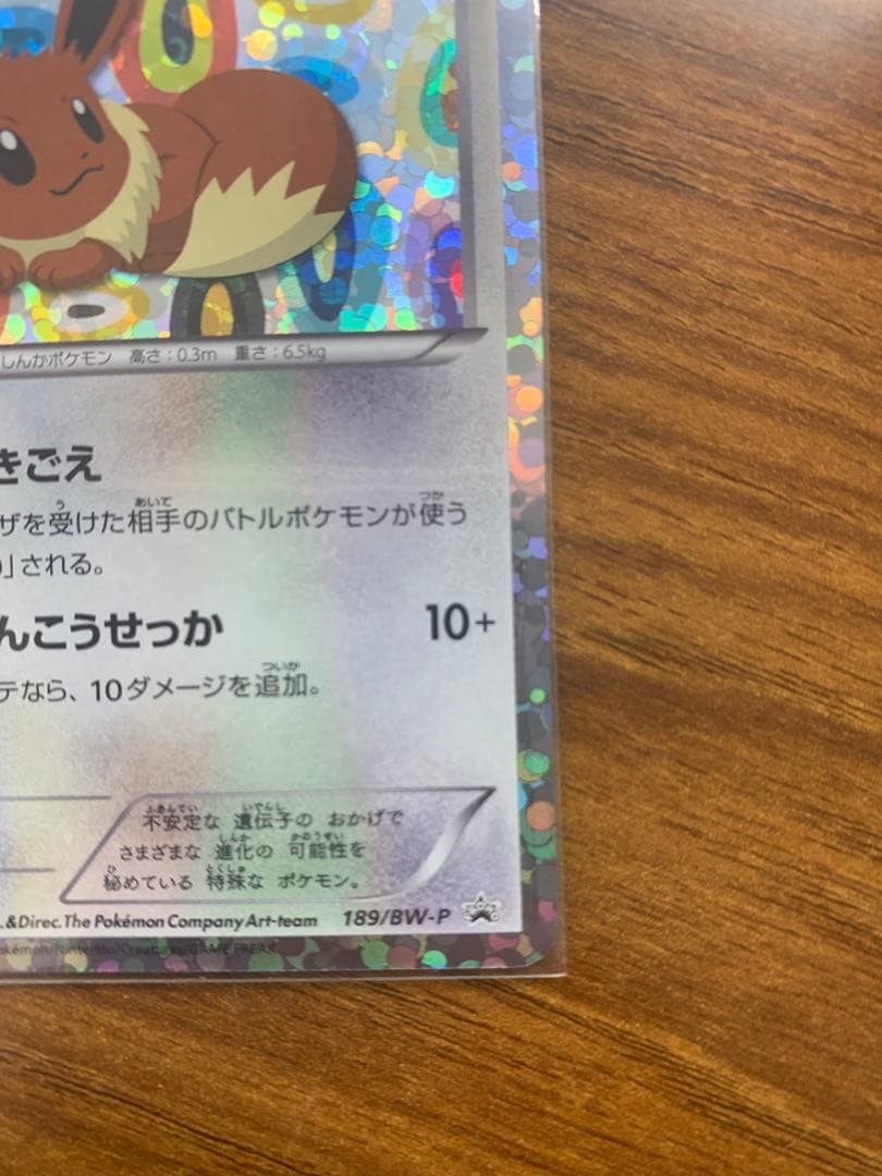 イーブイコレクション　セット売り