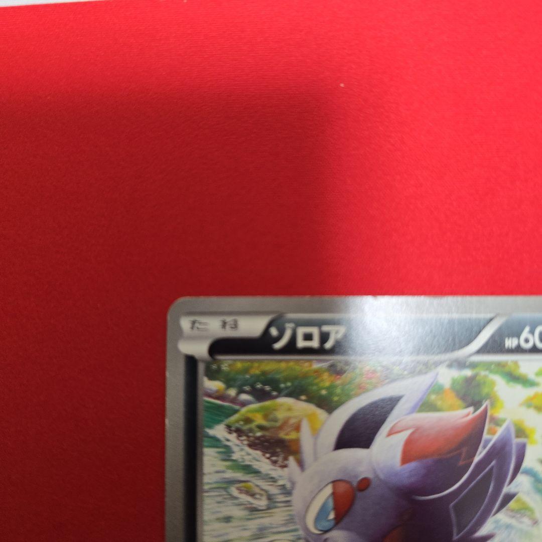 ポケモンカードゲーム ゾロア プロモ BW-P プロモカード 021/BW-P