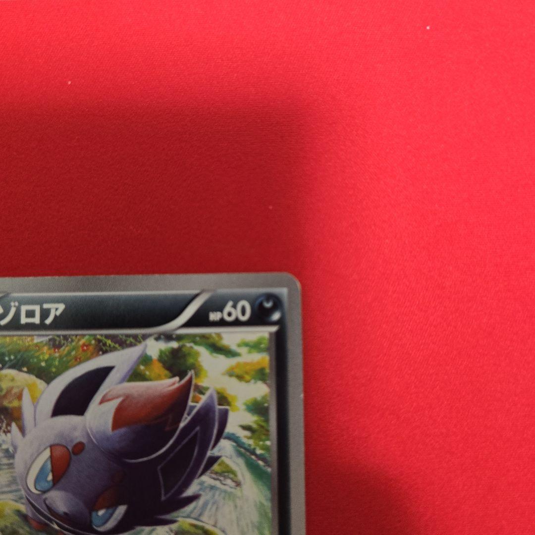 ポケモンカードゲーム ゾロア プロモ BW-P プロモカード 021/BW-P