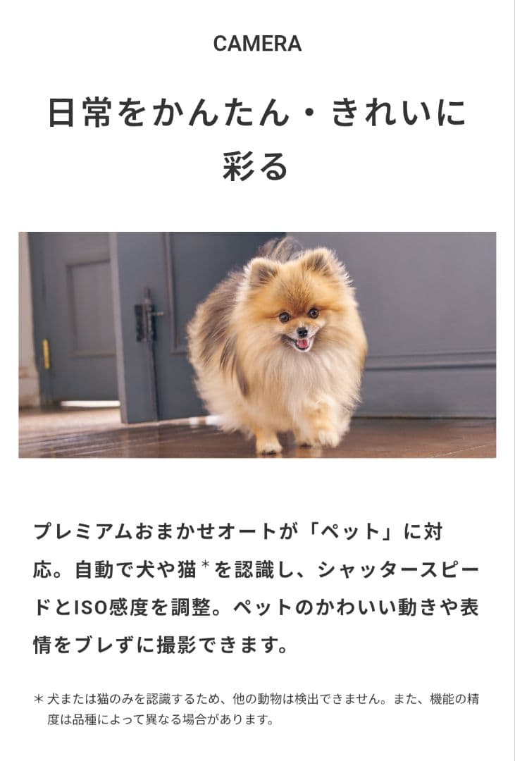 SONY Xperia10 III ホワイト 128 GB ガラスフィルム付