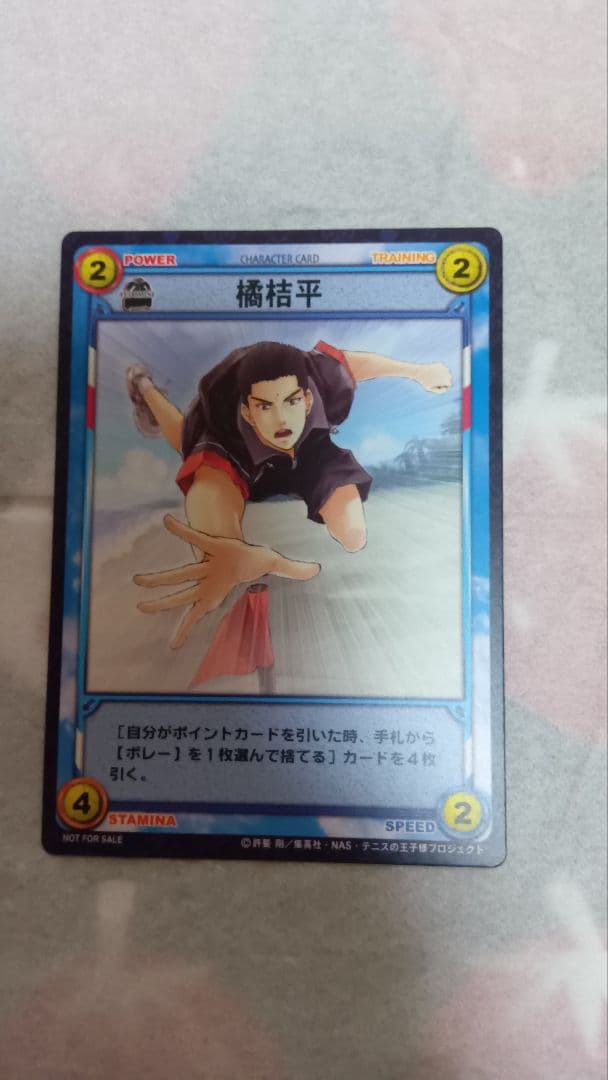 テニスの王子様PS2ゲ―ム「山麓のMystic」 の特典セット