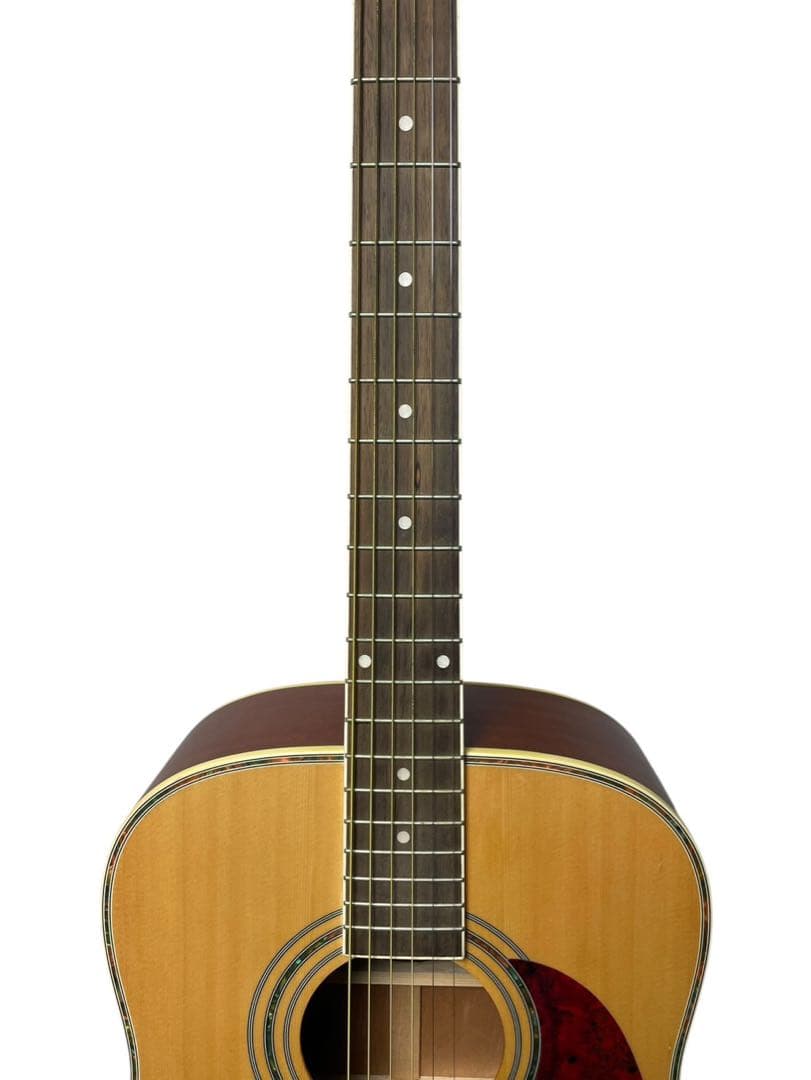 Elioth エリオス B305NS アコースティックギター ソフトケース付き