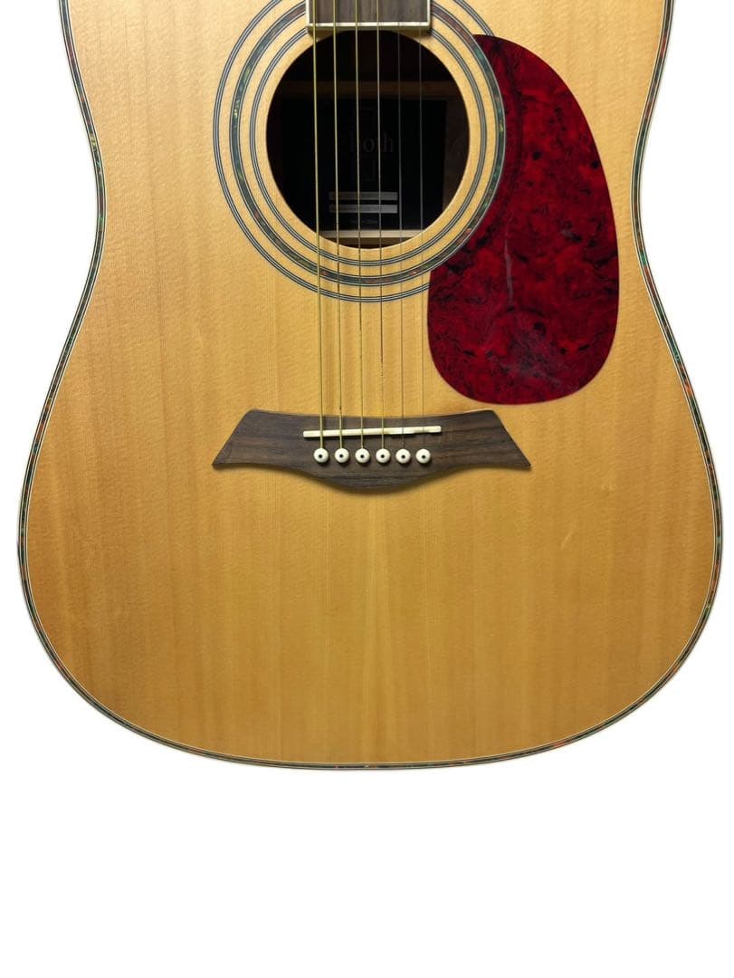 Elioth エリオス B305NS アコースティックギター ソフトケース付き