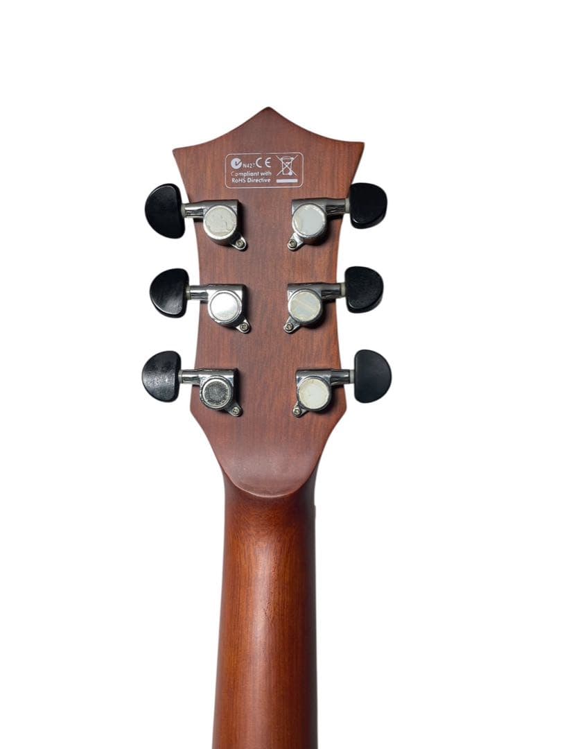 Elioth エリオス B305NS アコースティックギター ソフトケース付き