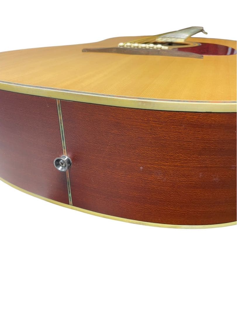 Elioth エリオス B305NS アコースティックギター ソフトケース付き