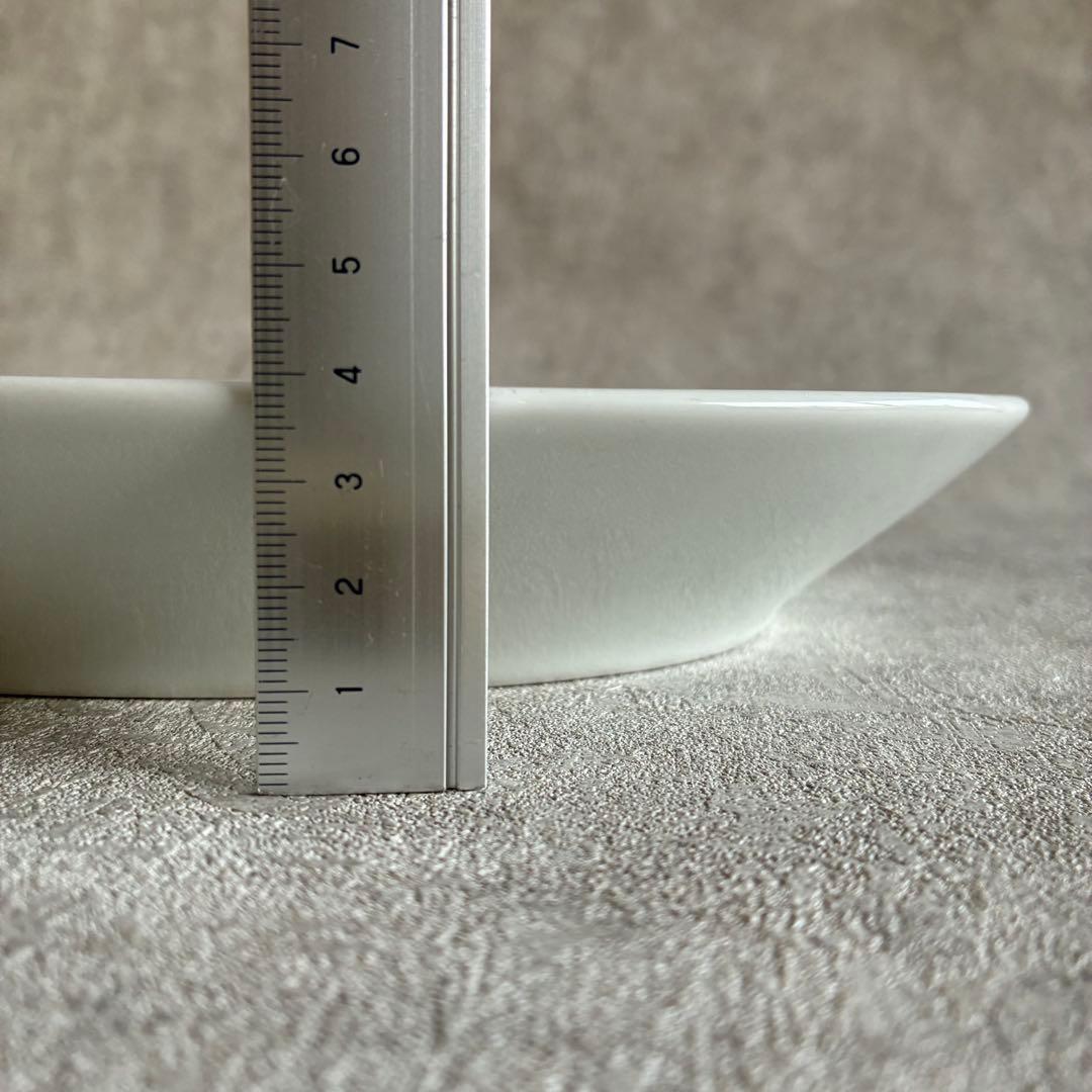 PILLIVUYT パリ オーバルプレート 長径30.1cm×H4cm