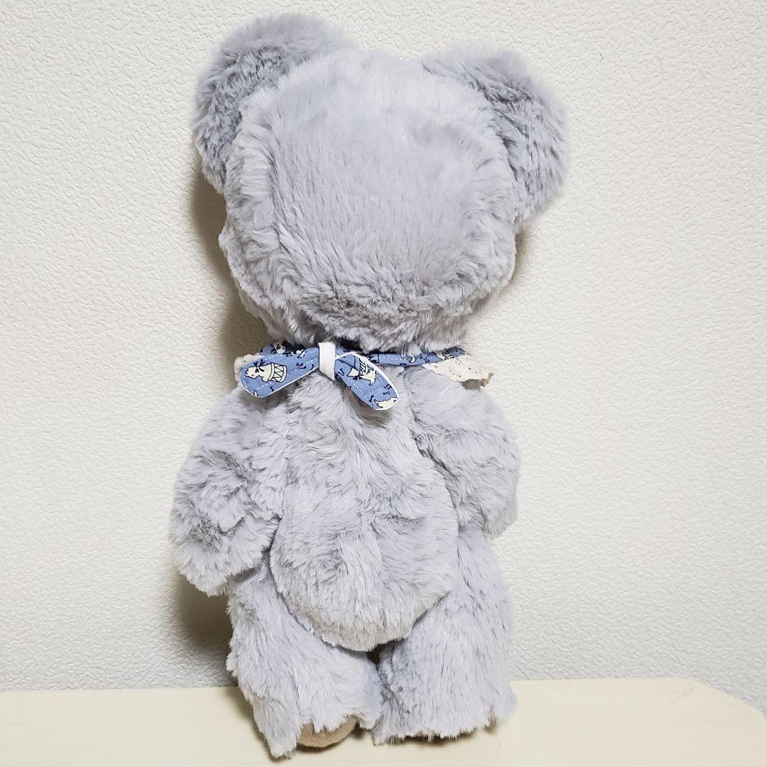 No.670 テディベア　BD 2026.1.5 グレー×スタイ