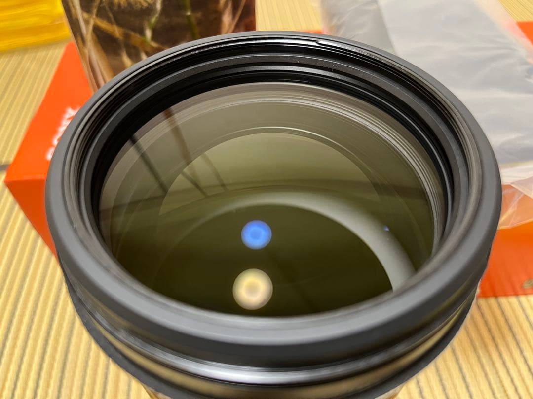 LEEカメラ専用　SONY FE 200-600mm F5.6-6.3G OSS