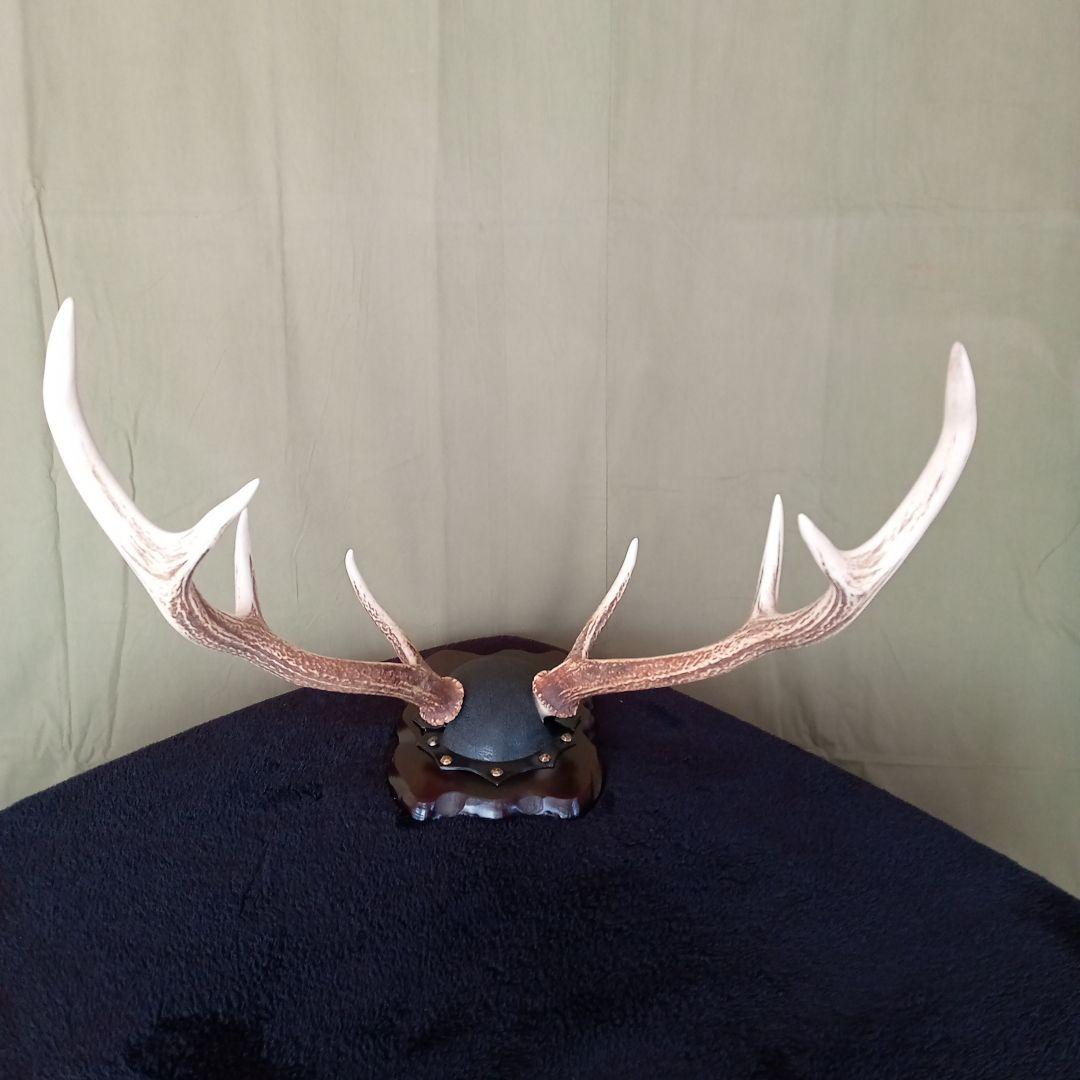 鹿角　オブジェ  A