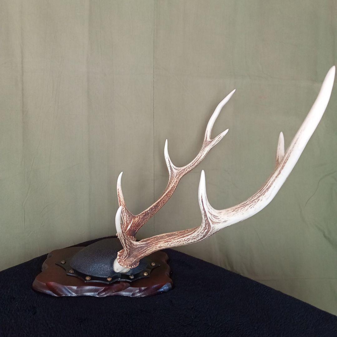 鹿角　オブジェ  A