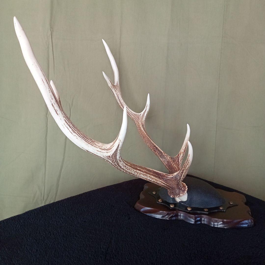 鹿角　オブジェ  A