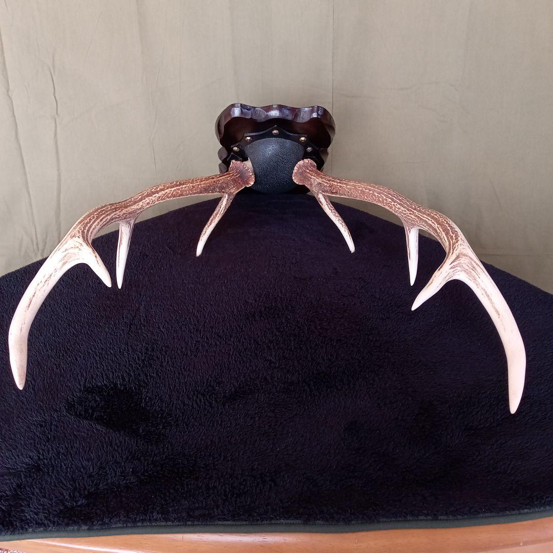 鹿角　オブジェ  A