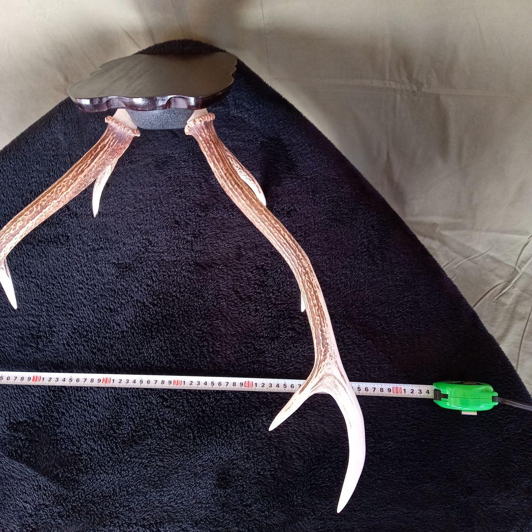 鹿角　オブジェ  A