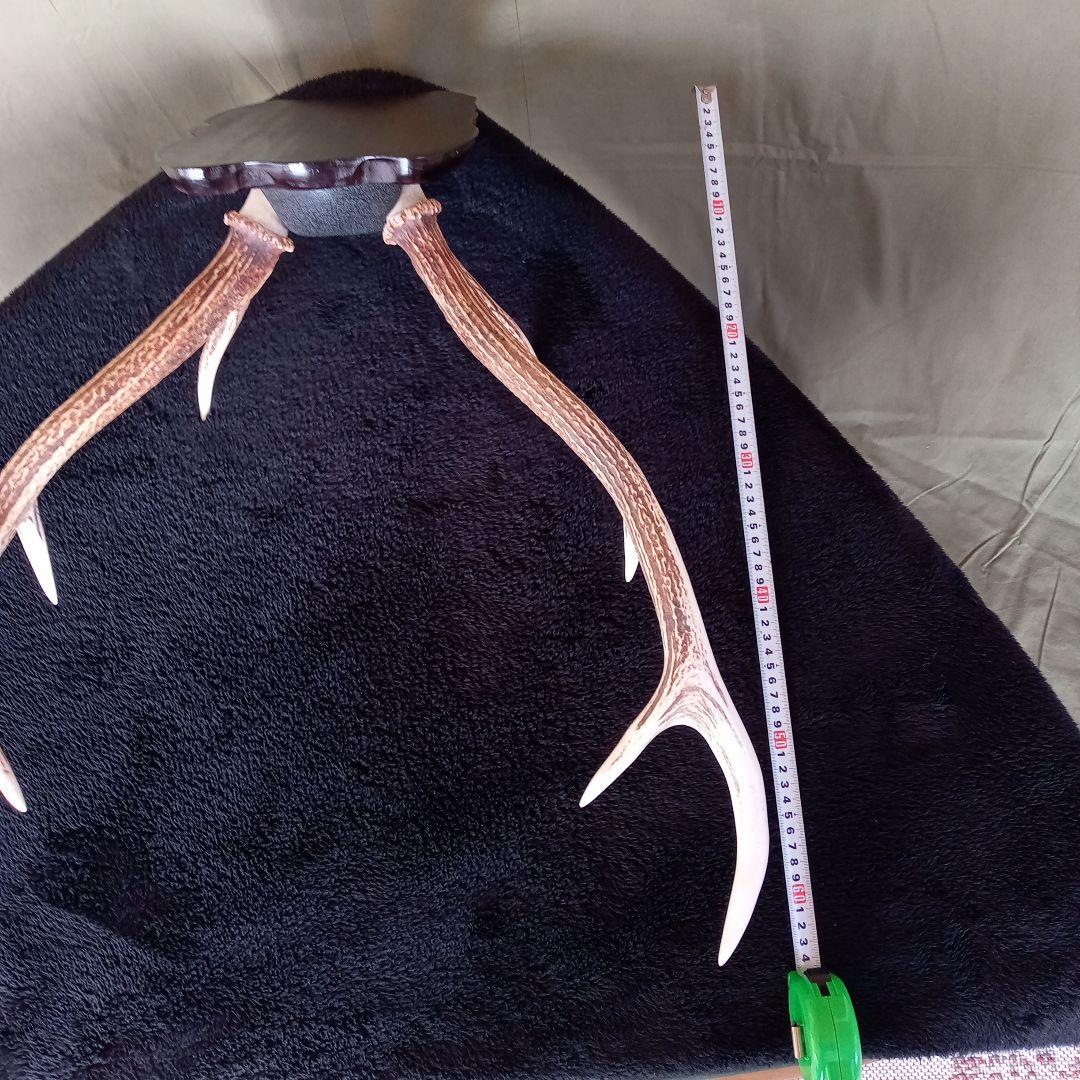 鹿角　オブジェ  A