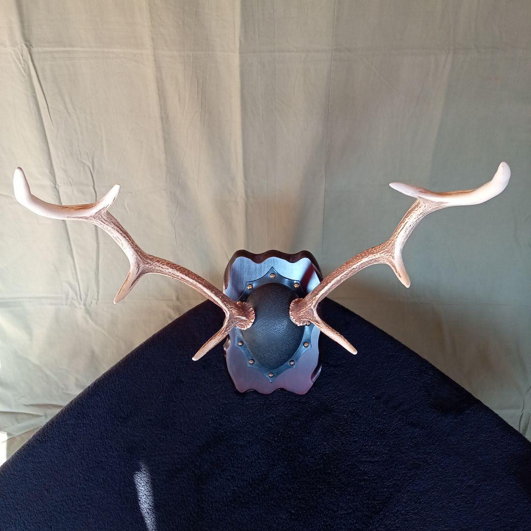 鹿角　オブジェ  A