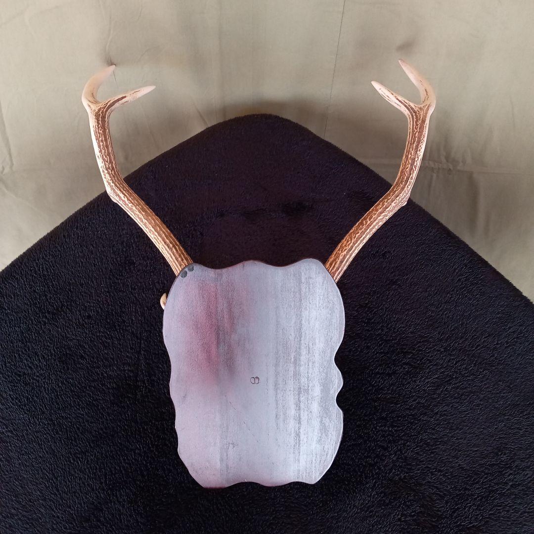 鹿角　オブジェ  A