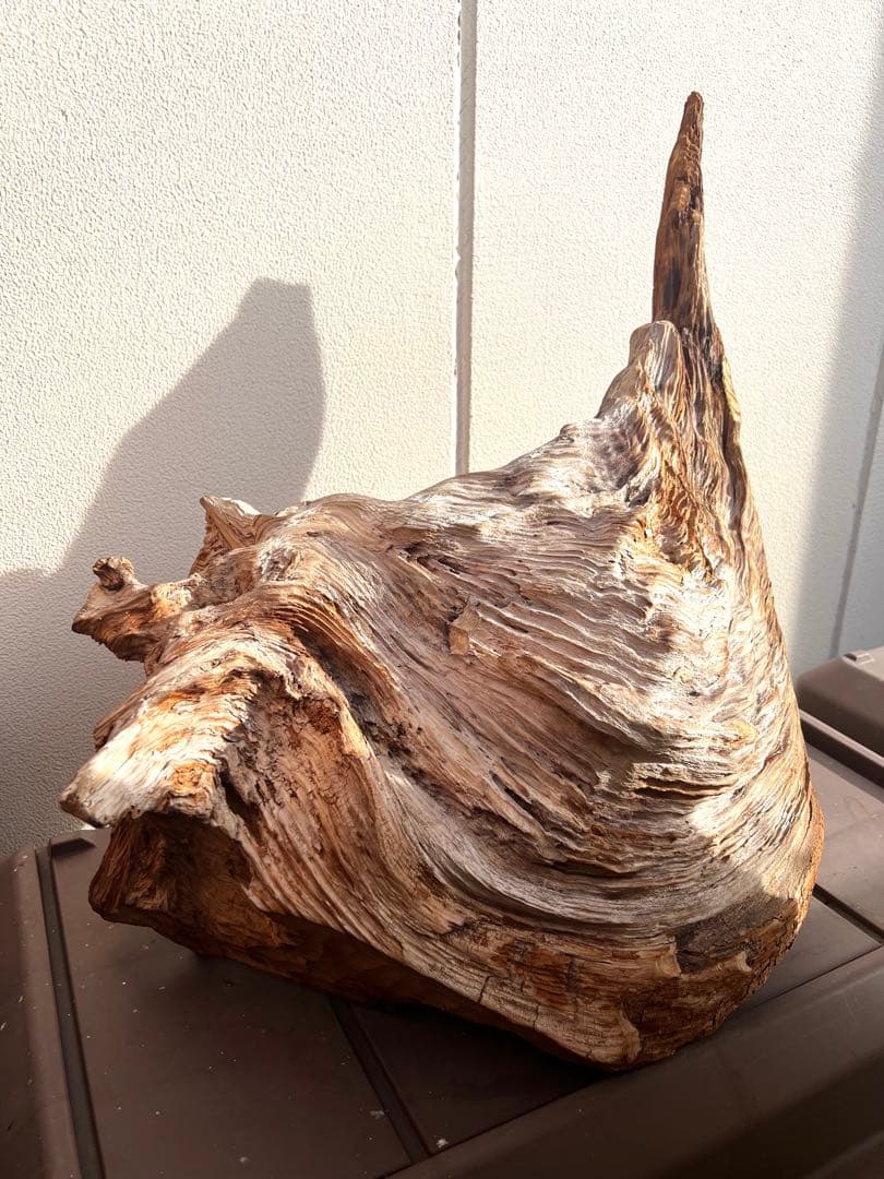 巨大　木 置物 インテリア オブジェ 置物 床の間飾り