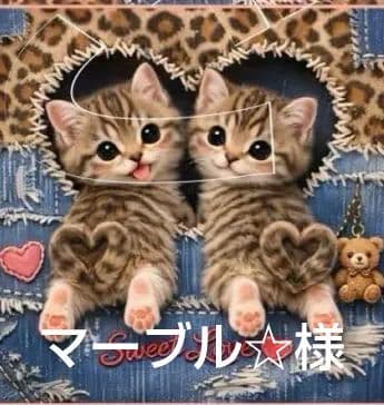 オーダーページ　ハンカチ　89 デニムにゃん柄　1/15　りんご様P