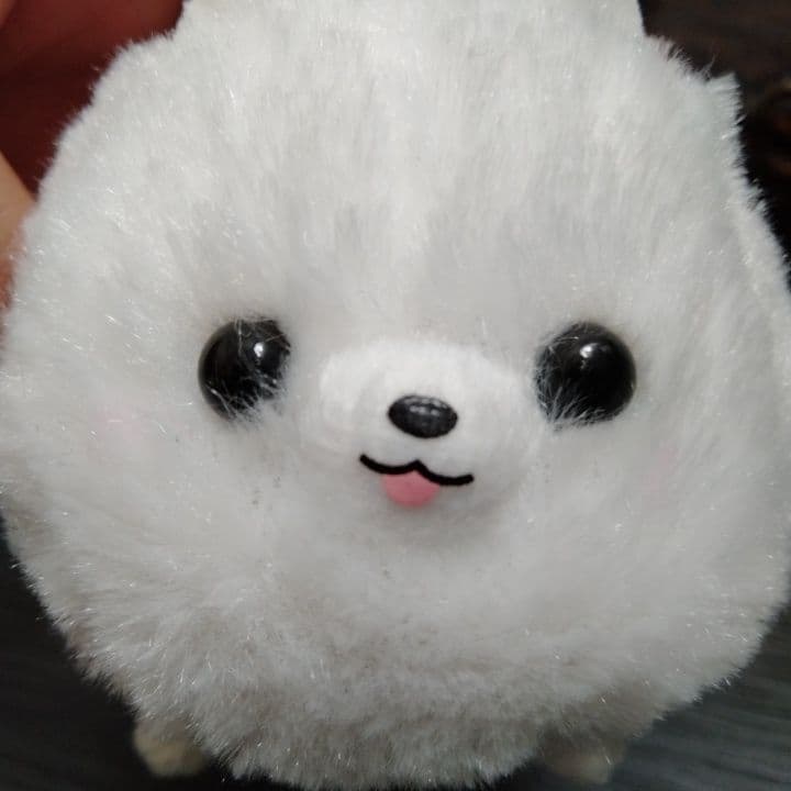 犬のぬいぐるみ・低品質な汚れた風にした紙の宝箱セット