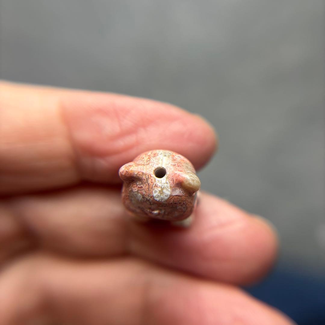 あずきちゃんフォッシルコーラル　クマパーツ　1-153