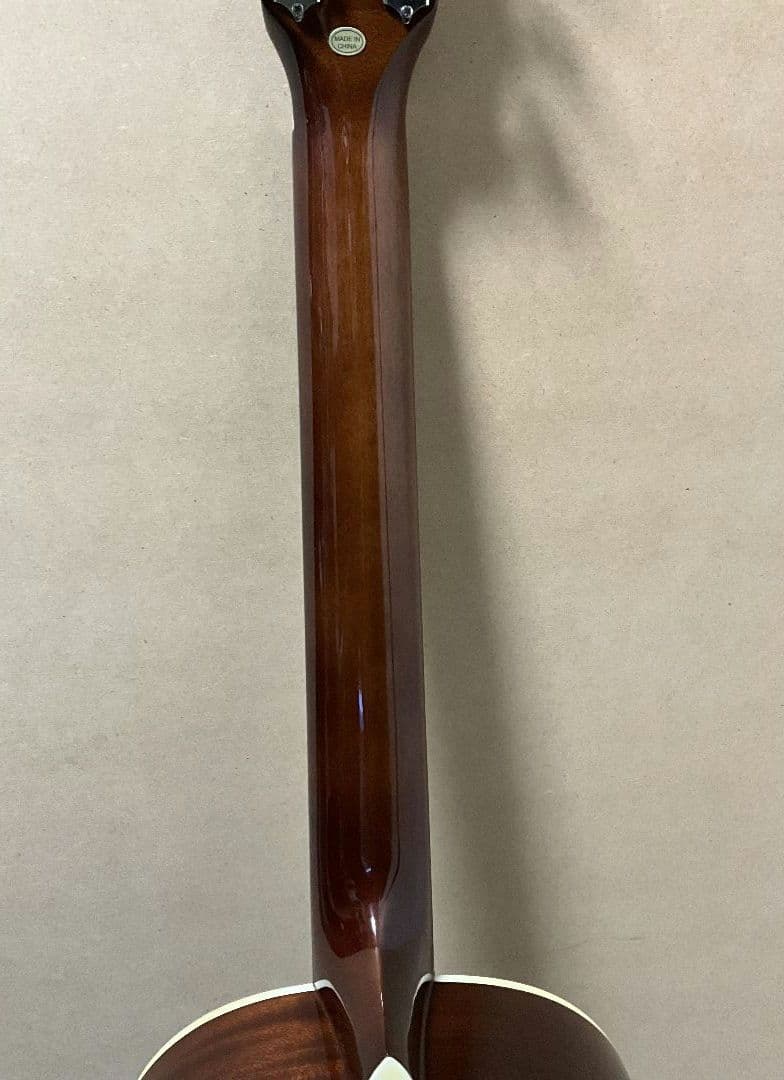 ギター PLAYTECH AP35RS