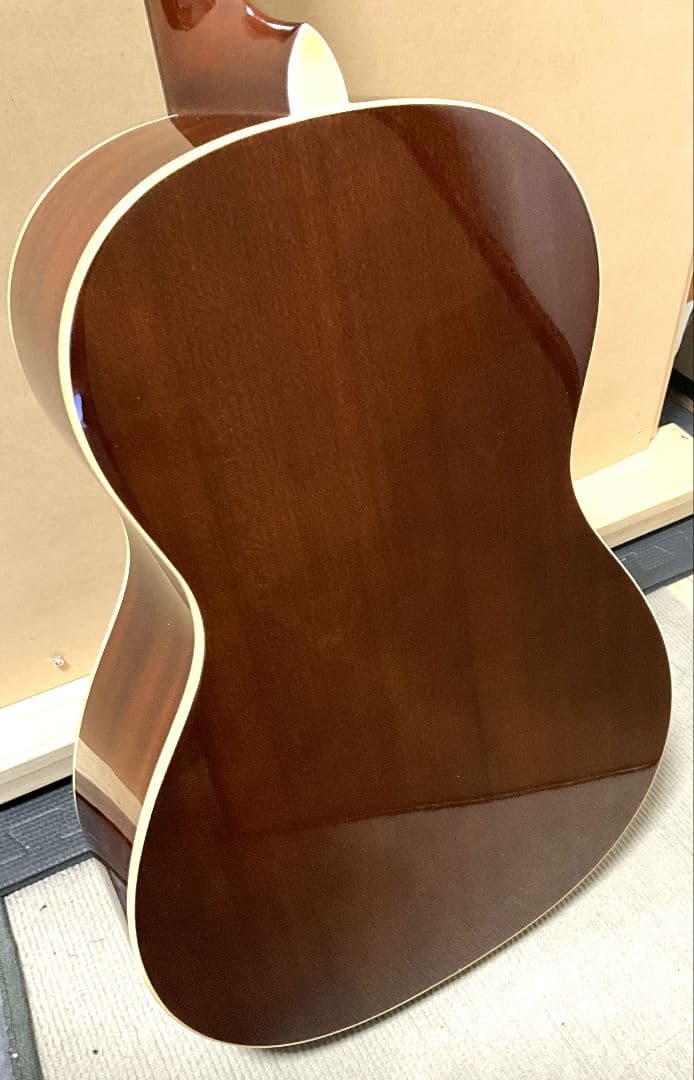 ギター PLAYTECH AP35RS