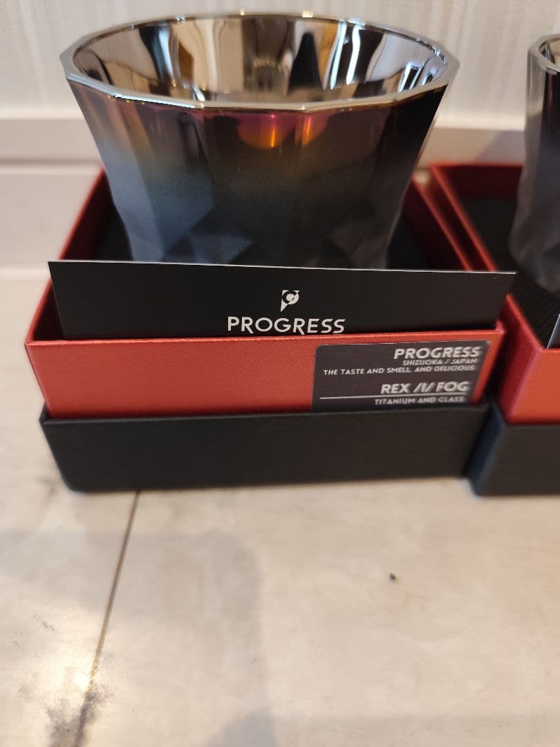 PROGRESS REX/I/FOG REX/S/FOG 2個セット