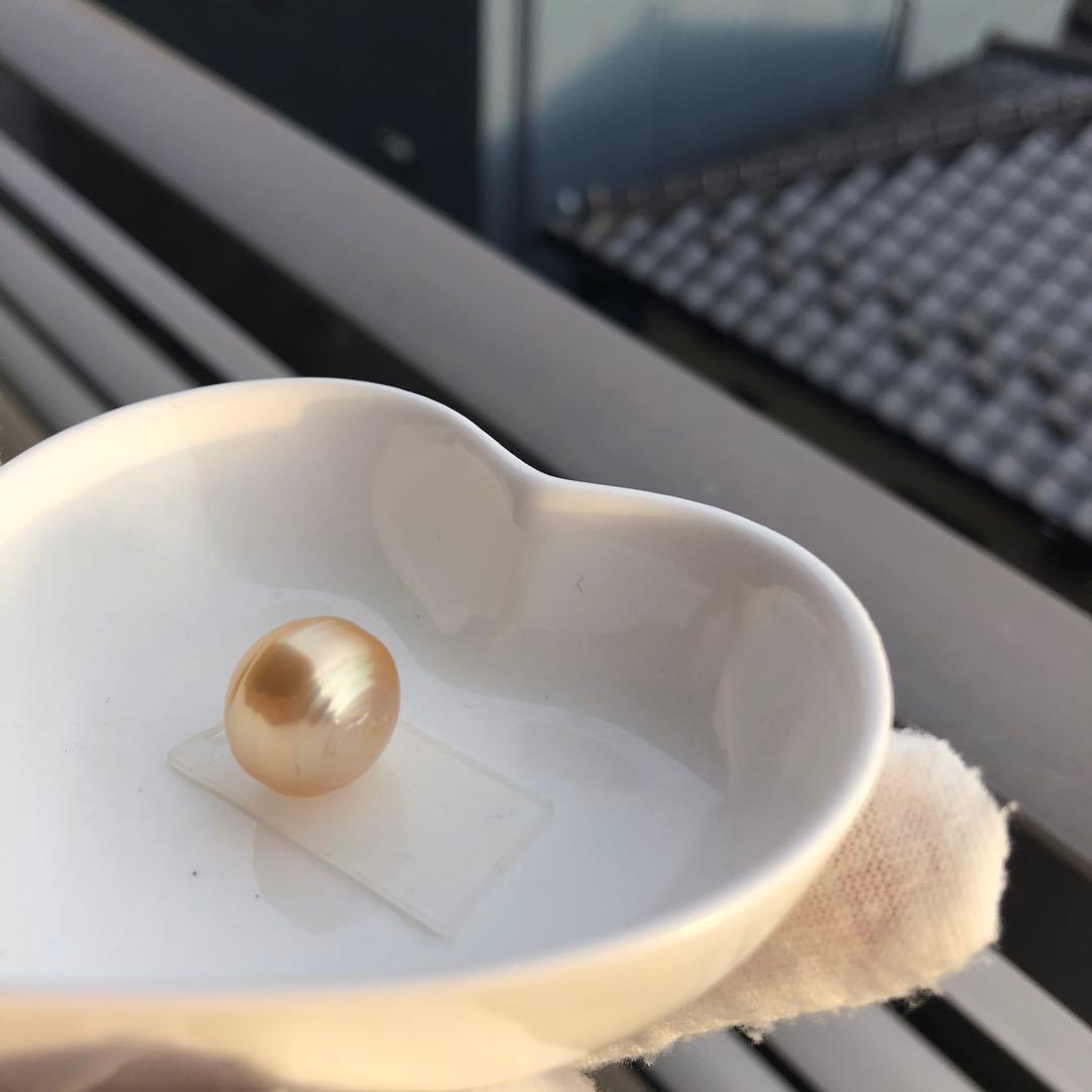 本真珠　大粒　南洋ゴールドパール　オーダー確認ページSH28