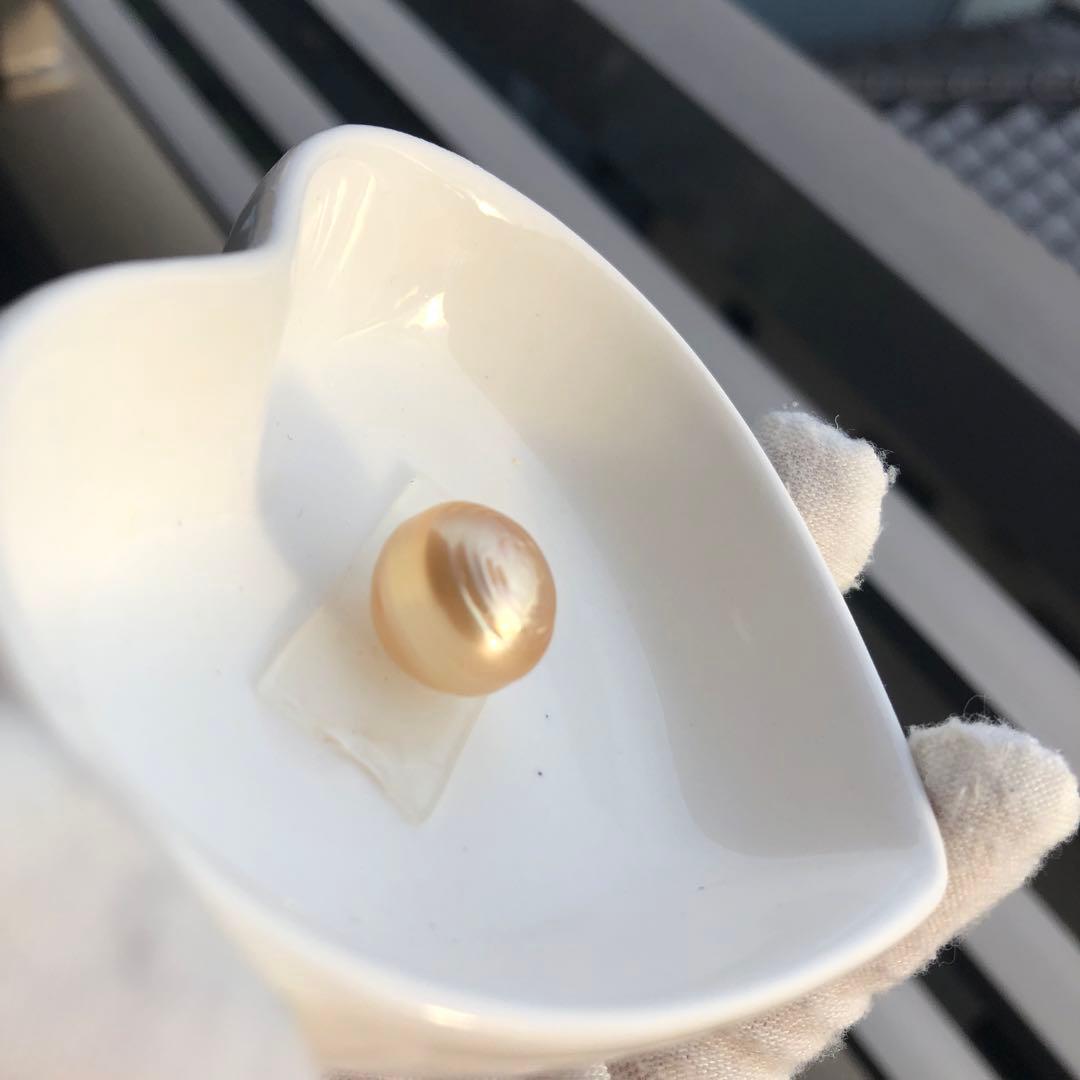 本真珠　大粒　南洋ゴールドパール　オーダー確認ページSH28