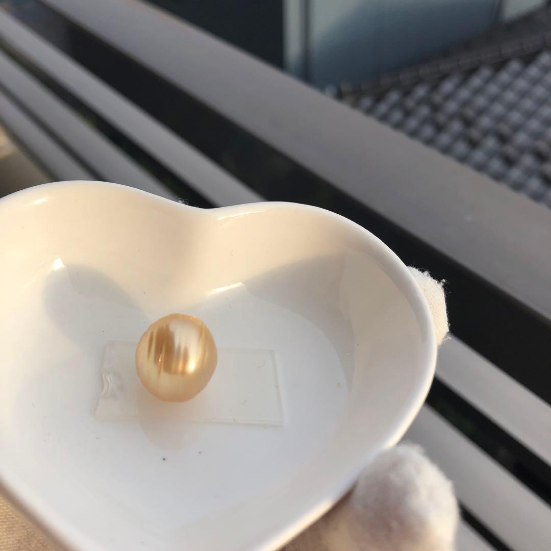 本真珠　大粒　南洋ゴールドパール　オーダー確認ページSH28