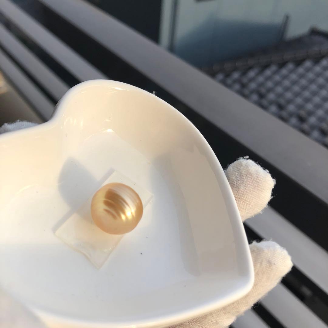 本真珠　大粒　南洋ゴールドパール　オーダー確認ページSH28